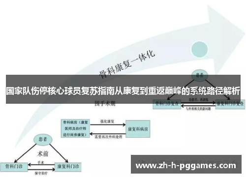 国家队伤停核心球员复苏指南从康复到重返巅峰的系统路径解析