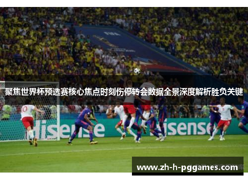 聚焦世界杯预选赛核心焦点时刻伤停转会数据全景深度解析胜负关键